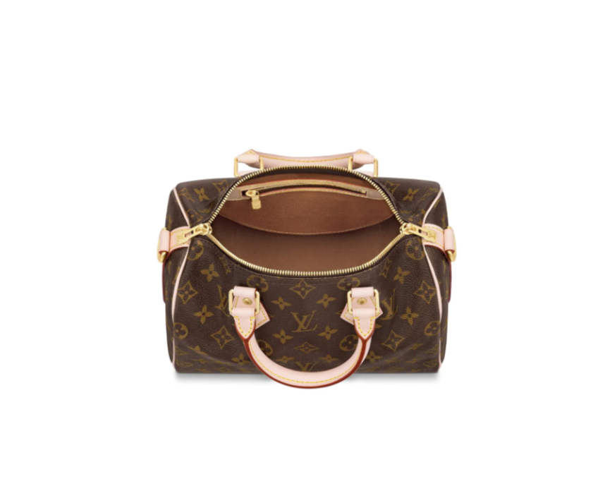 LV（ルイヴィトン） SPEEDY 25ハンドバッグ