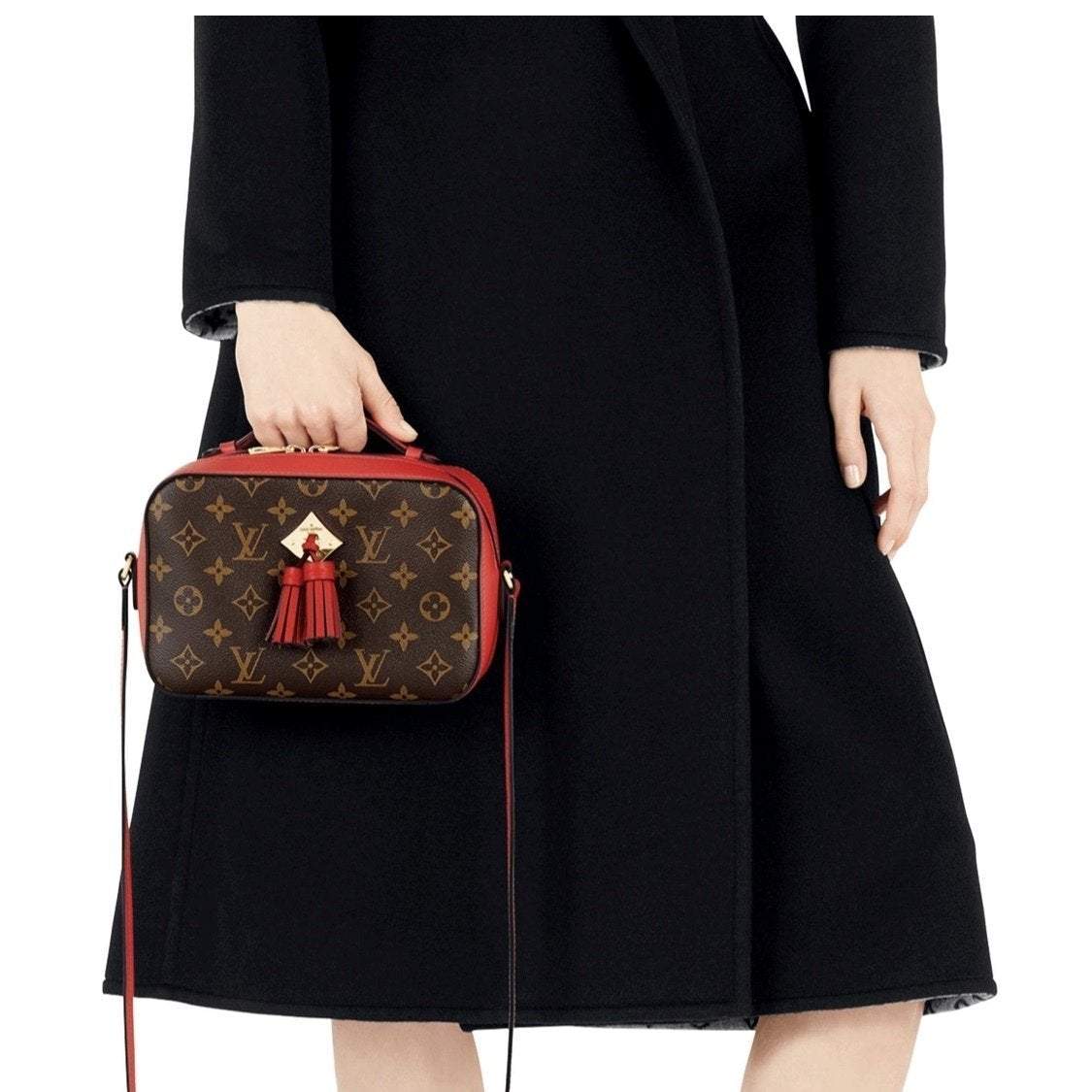 Louis Vuitton 日本完売 サントンジュ SAINTONGE ショルダー