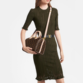 LV（ルイヴィトン） SPEEDY 25ハンドバッグ