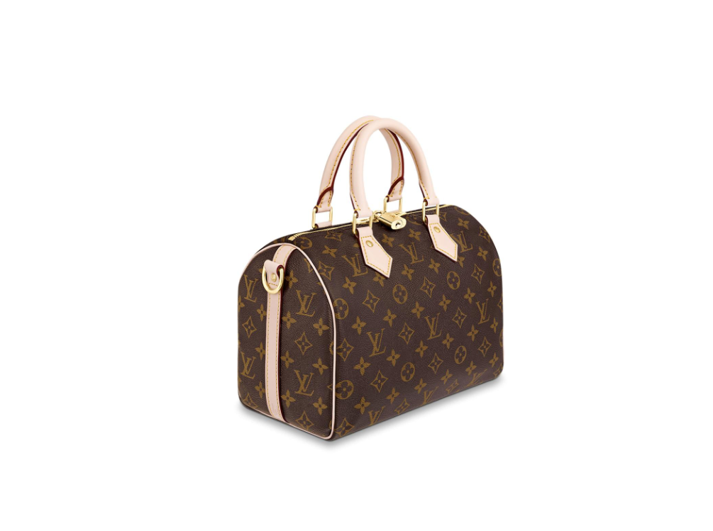 LV（ルイヴィトン） SPEEDY 25ハンドバッグ