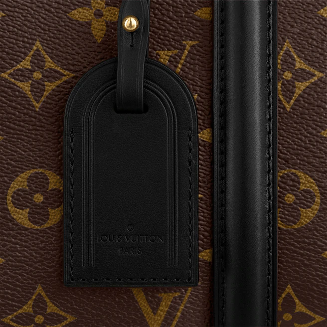 LV  Soufflot MMソフトモノグラムキャンバスハンドバッグ