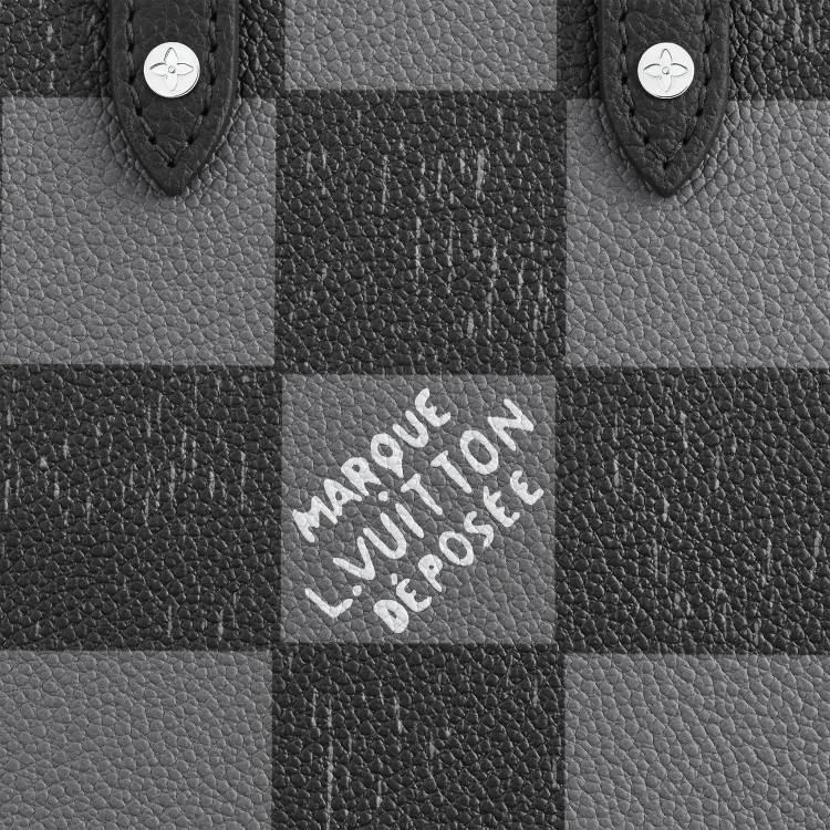 Louis Vuitton （ルイヴィトン） サック・プラ XS N60479